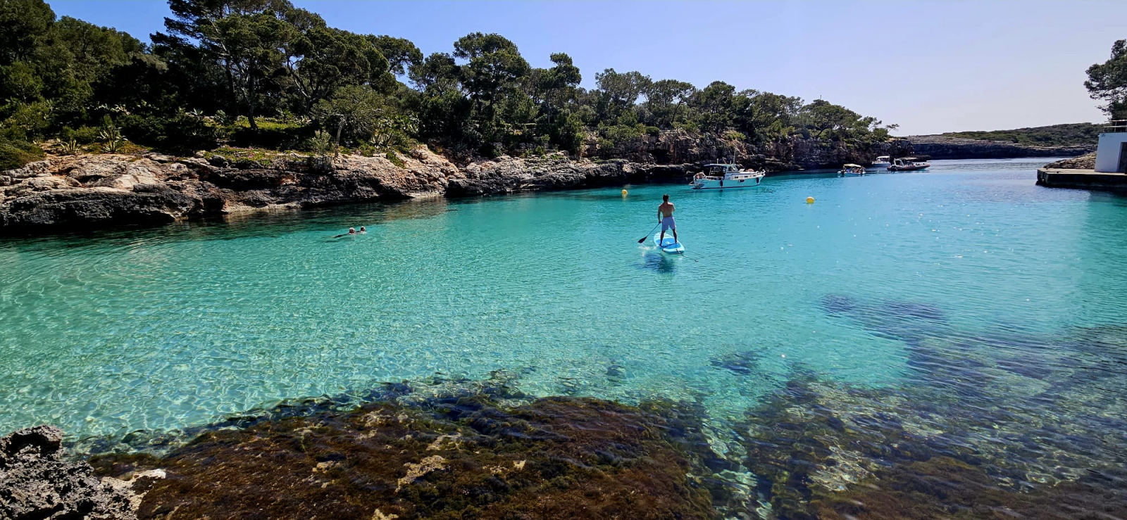 Cal-Sa-Nau-2026 Cal-Sa-Nau-2026